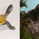 Illustration for article titled 30 Real Animals with Science Fiction Names